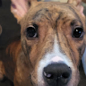 Meet your Posher, Johnathan